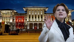 Eski danışmanından Meral Akşener hakkında Şok İddia: Beştepe'de kiminle görüştünüz?